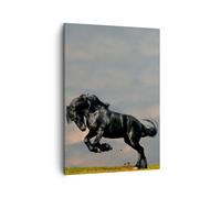 Cuadro Sobre Lienzo 50x70cm Cuadros Pared Nube caballo prado naturaleza Wall Art