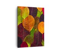 Cuadro Sobre Lienzo 50x70cm Cuadros Pared Otoño Hojas Gráficos Wall Art Prints