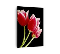 Cuadro Sobre Lienzo 50x70cm Cuadros Pared Tulipán jardín flor ramo Wall Art