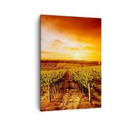 Cuadro Sobre Lienzo 50x70cm Cuadros Pared Viñedo Vista Campo Wall Art Prints