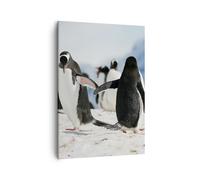 Cuadro Sobre Lienzo 50x70cm Cuadros Pingüinos Invierno naturaleza nieve Wall Art
