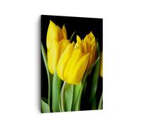Cuadro Sobre Lienzo 50x70cm Cuadros Tulipanes ramo reflejo del espejo verde Art