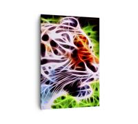 Cuadro Sobre Lienzo 70x100cm Cuadros África agresión animales tigre Wall Art