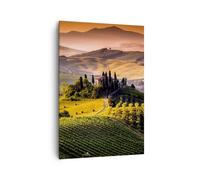 Cuadro Sobre Lienzo 70x100cm Cuadros Agricultura granja toscana viña Wall Art