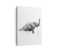 Cuadro Sobre Lienzo 70x100cm Cuadros Elefantes Familia Blanco Y Negro Wall Art