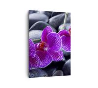 Cuadro Sobre Lienzo 70x100cm Cuadros Flores Piedras Violeta Aromaterapia Art