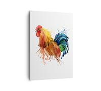 Cuadro Sobre Lienzo 70x100cm Cuadros Gallo Ilustration Animal colores Wall Art