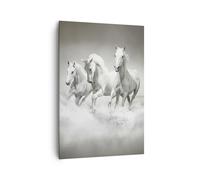 Cuadro Sobre Lienzo 70x100cm Cuadros Granja caballos galope libertad Wall Art