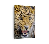 Cuadro Sobre Lienzo 70x100cm Cuadros Leopardo animal sabana áfrica Wall Art