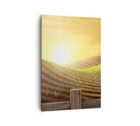 Cuadro Sobre Lienzo 70x100cm Cuadros Mañana granja campo plantación Wall Art