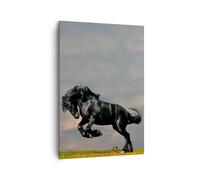 Cuadro Sobre Lienzo 70x100cm Cuadros Nube caballo prado naturaleza Wall Art