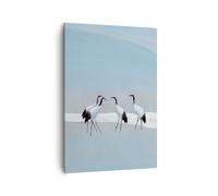 Cuadro Sobre Lienzo 70x100cm Cuadros Pared Aves Grullas Naturaleza Wall Art