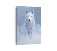 Cuadro Sobre Lienzo 70x100cm Cuadros Pared Blanco lobo nieve Wall Art Prints