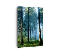 Cuadro Sobre Lienzo 70x100cm Cuadros Pared Bosque Amanecer El Sol Wall Art