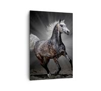 Cuadro Sobre Lienzo 70x100cm Cuadros Pared caballo animal naturaleza Wall Art