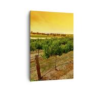 Cuadro Sobre Lienzo 70x100cm Cuadros Pared Campo Viñedo Puesta de sol Wall Art