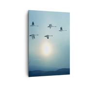 Cuadro Sobre Lienzo 70x100cm Cuadros Pared cigüeña pájaro naturaleza Wall Art