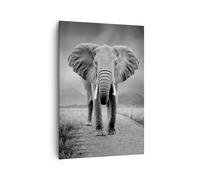 Cuadro Sobre Lienzo 70x100cm Cuadros Pared Elefante Salvaje Naturaleza Wall Art