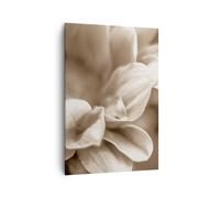 Cuadro Sobre Lienzo 70x100cm Cuadros Pared Flores Boho Sin Wall Art Prints Decor