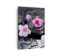 Cuadro Sobre Lienzo 70x100cm Cuadros Pared Flores piedras gotas spa Wall Art