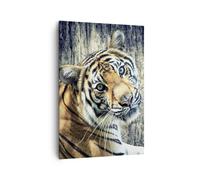 Cuadro Sobre Lienzo 70x100cm Cuadros Pared India piedra tigre salvaje Wall Art