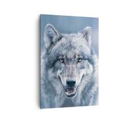 Cuadro Sobre Lienzo 70x100cm Cuadros Pared lobo depredador salvajismo Wall Art