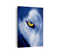 Cuadro Sobre Lienzo 70x100cm Cuadros Pared Mira El Lobo Ojos Wall Art Prints