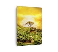 Cuadro Sobre Lienzo 70x100cm Cuadros Pared Montaña árbol camino colina Wall Art