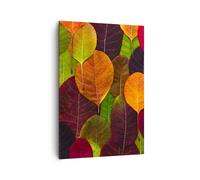 Cuadro Sobre Lienzo 70x100cm Cuadros Pared Otoño Hojas Gráficos Wall Art Prints
