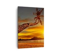 Cuadro Sobre Lienzo 70x100cm Cuadros Pared Palma Paisaje Sol Wall Art Prints