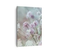 Cuadro Sobre Lienzo 70x100cm Cuadros Pared Prado Ajo Flor Wall Art Prints Decor