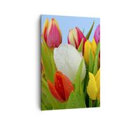 Cuadro Sobre Lienzo 70x100cm Cuadros Pared Tulipanes ramo flores rocío Wall Art