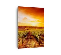 Cuadro Sobre Lienzo 70x100cm Cuadros Pared Viñedo Vista Campo Wall Art Prints