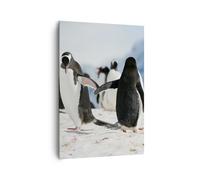 Cuadro Sobre Lienzo 70x100cm Cuadros Pingüinos Invierno naturaleza nieve Art