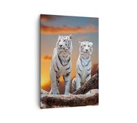 Cuadro Sobre Lienzo 70x100cm Cuadros Tigres blanco roca puesta del sol Wall Art