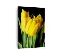 Cuadro Sobre Lienzo 70x100cm Cuadros Tulipanes ramo reflejo del espejo verde Art