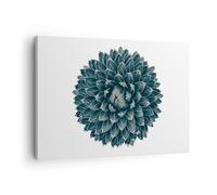 Cuadro Sobre Lienzo 70x50cm Cuadros Pared Agave Reina Victoria Wall Art Prints