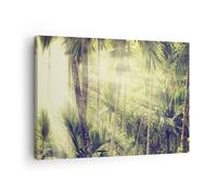 Cuadro Sobre Lienzo 70x50cm Cuadros Pared amanecer selva palmeras Wall Art