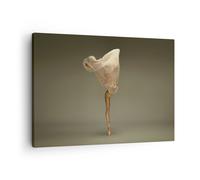 Cuadro Sobre Lienzo 70x50cm Cuadros Pared Bailarina Figura Bailando Wall Art