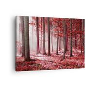 Cuadro Sobre Lienzo 70x50cm Cuadros Pared bosque rojo árboles Wall Art Prints