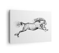 Cuadro Sobre Lienzo 70x50cm Cuadros Pared Caballo Dibujo Lápiz Wall Art Prints