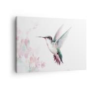 Cuadro Sobre Lienzo 70x50cm Cuadros Pared Colibrí Acuarela Luz Wall Art Prints