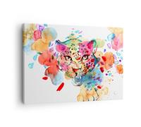 Cuadro Sobre Lienzo 70x50cm Cuadros Pared color concepto gato Wall Art Prints