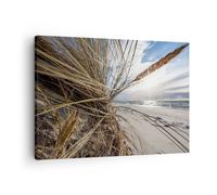 Cuadro Sobre Lienzo 70x50cm Cuadros Pared Costa Perspectiva Hierba Wall Art