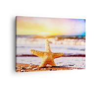 Cuadro Sobre Lienzo 70x50cm Cuadros Pared Estrellas de mar playa arena océano