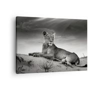 Cuadro Sobre Lienzo 70x50cm Cuadros Pared fauna femenino gato animal Wall Art