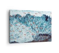 Cuadro Sobre Lienzo 70x50cm Cuadros Pared Flamencos Caribe Aves Wall Art Prints