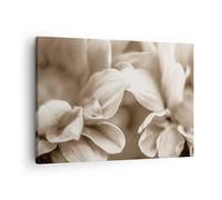 Cuadro Sobre Lienzo 70x50cm Cuadros Pared Flores Boho Sin Wall Art Prints Decor