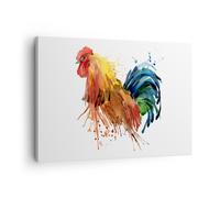 Cuadro Sobre Lienzo 70x50cm Cuadros Pared Gallo Ilustration Animal colores Art