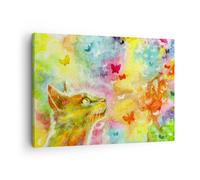 Cuadro Sobre Lienzo 70x50cm Cuadros Pared Gato mariposa arco iris magia Wall Art